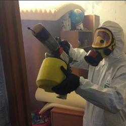 Уничтожение клопов в квартире. Данилов